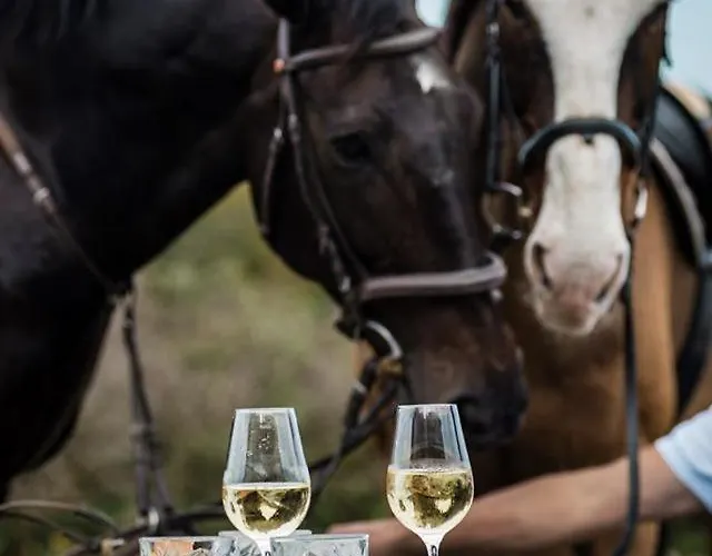 Hotel Het Montferland Zeddam