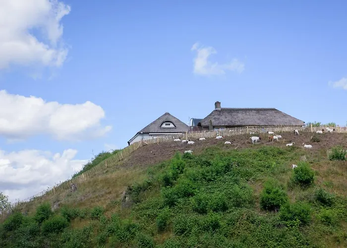 Hotel Het Montferland 3*